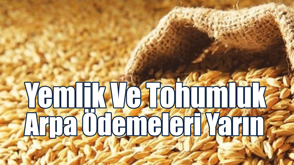 Yemlik Ve Tohumluk Arpa Ödemeleri Yarın