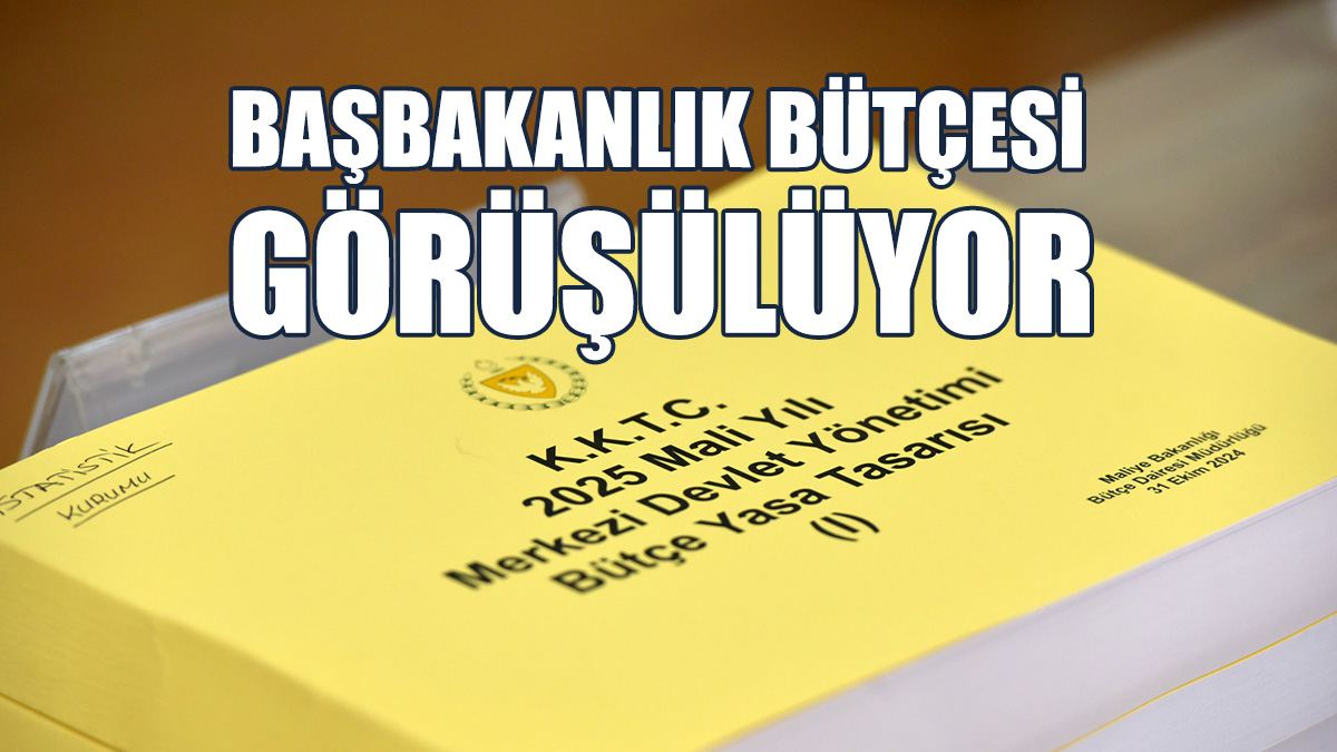Komite, Başbakanlık Ve Başbakan Yardımcılığı Bütçelerini Görüşüyor