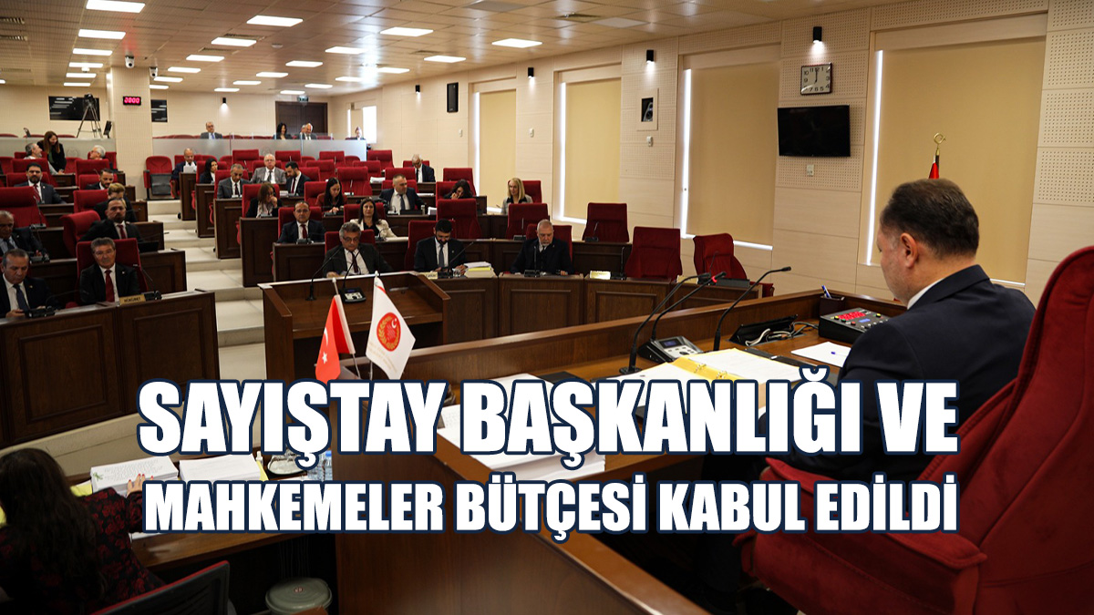 Şahiner: Sayıştay’a “Denetim Yapma” Diyen Bir Bütçe