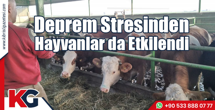Bazıları Düşük Yaptı, Bazıları Yavrularını Attı!