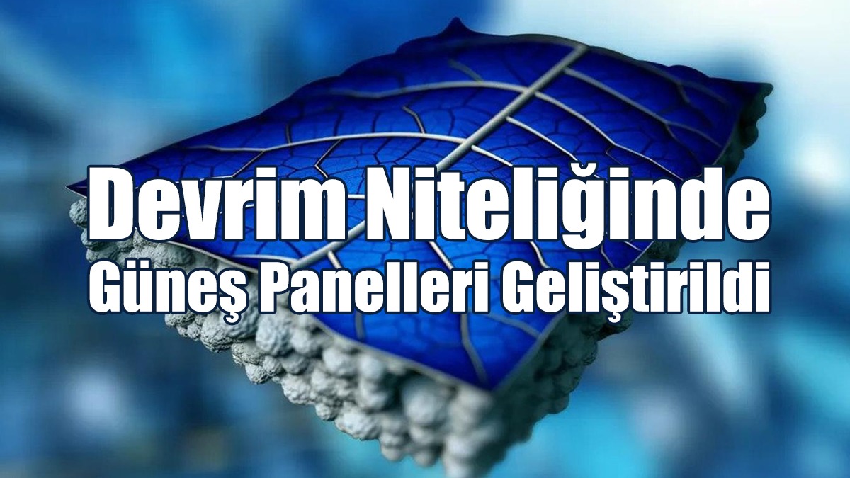 Yaprakları Taklit Ediyor
