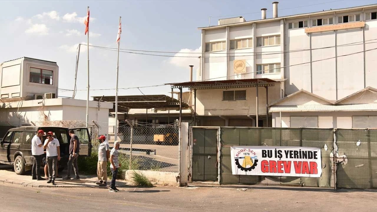 Binboğa Yem Fabrikası’nda tutuklama depremi