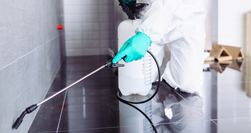 Girne Belediyesi, hamam böceği ile mücadele takvimi açıklandı