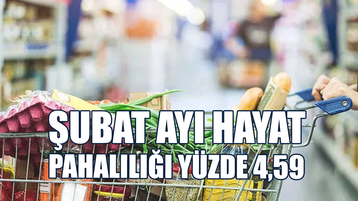 İstatistik Kurumu Şubat Ayı Hayat Pahalılığını Yüzde 4,59 Olarak Açıkladı