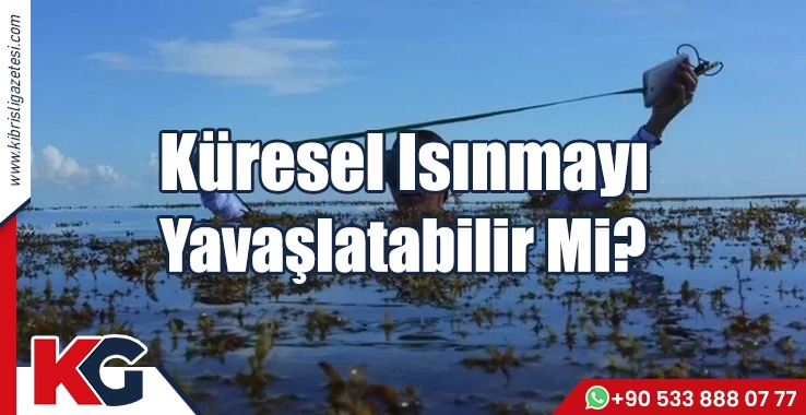 Küresel Isınmayı Yavaşlatabilir Mi?