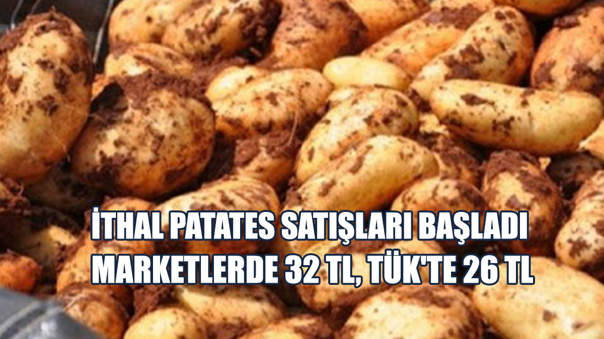 İthal Patates Satışları Başladı...