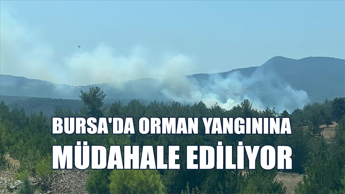 Havadan Ve Karadan Müdahale Ediliyor