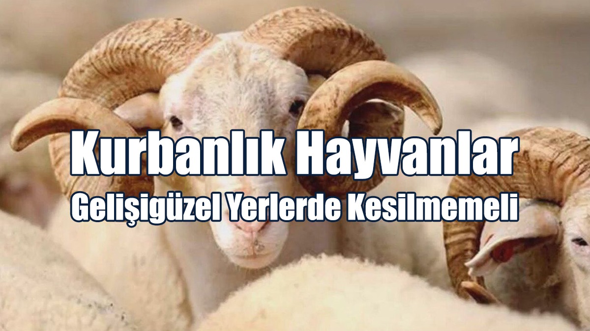 Kurbanlık Hayvanlar Gelişigüzel Yerlerde Kesilmemeli