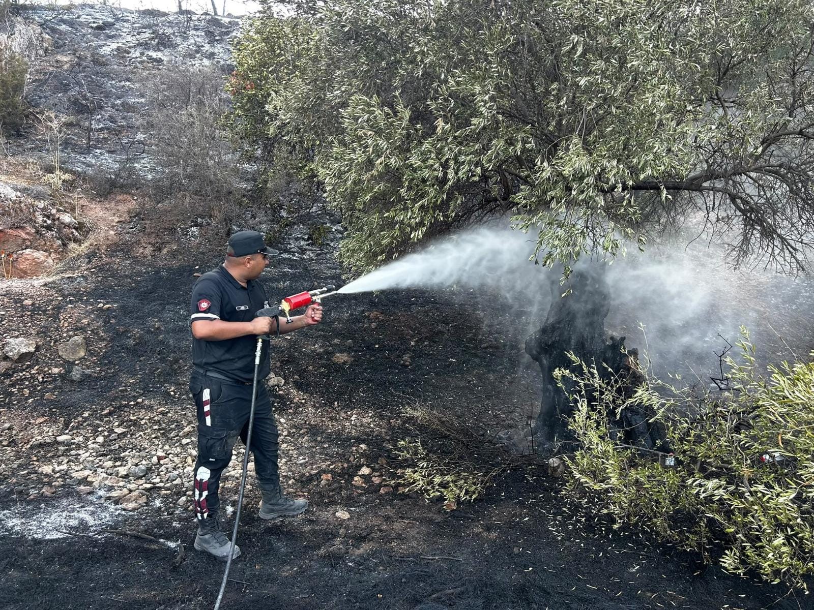 Tirmen’deki yangın kontrol altına alındı