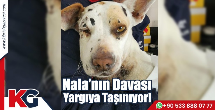 Nala’nın Davası Yargıya Taşınıyor!