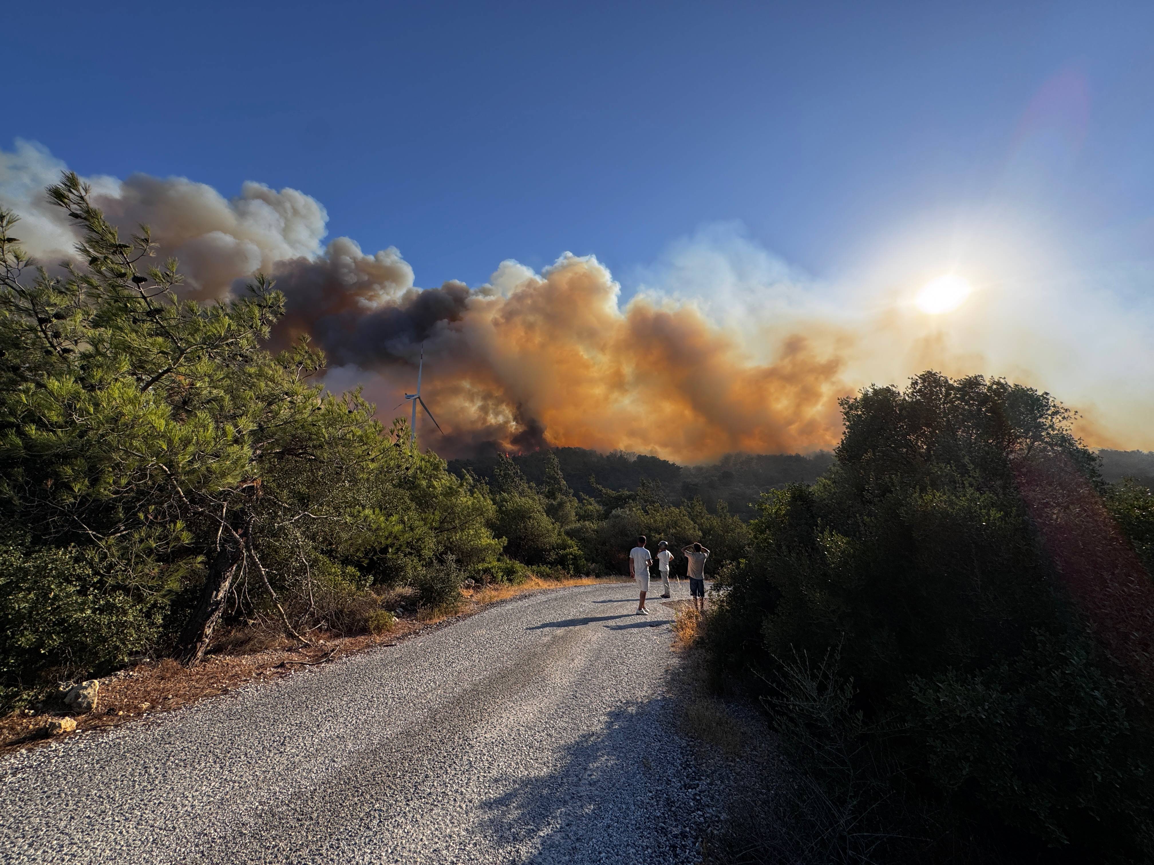 İzmir'in Urla ilçesinde orman yangını