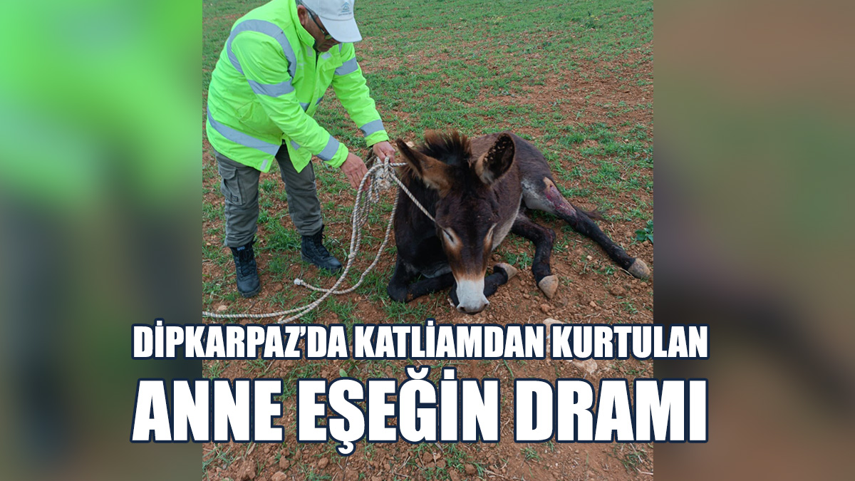 Taşkent Doğa Parkı Yetkililerinden Duygusal Paylaşım