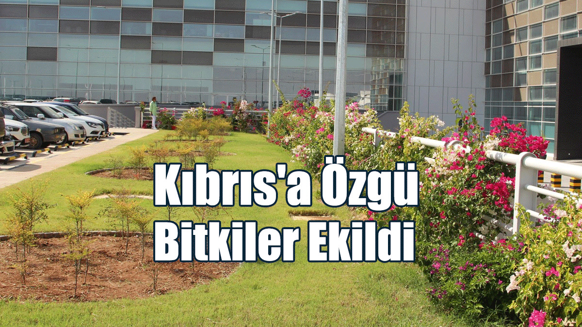 Ercan Havalimanı’nda Peyzaj Çalışmalarında Kıbrıs'a Özgü Bitkiler Ekildi
