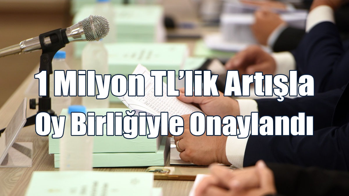 Kamu Hizmeti Komisyonu Bütçesi Komitede
