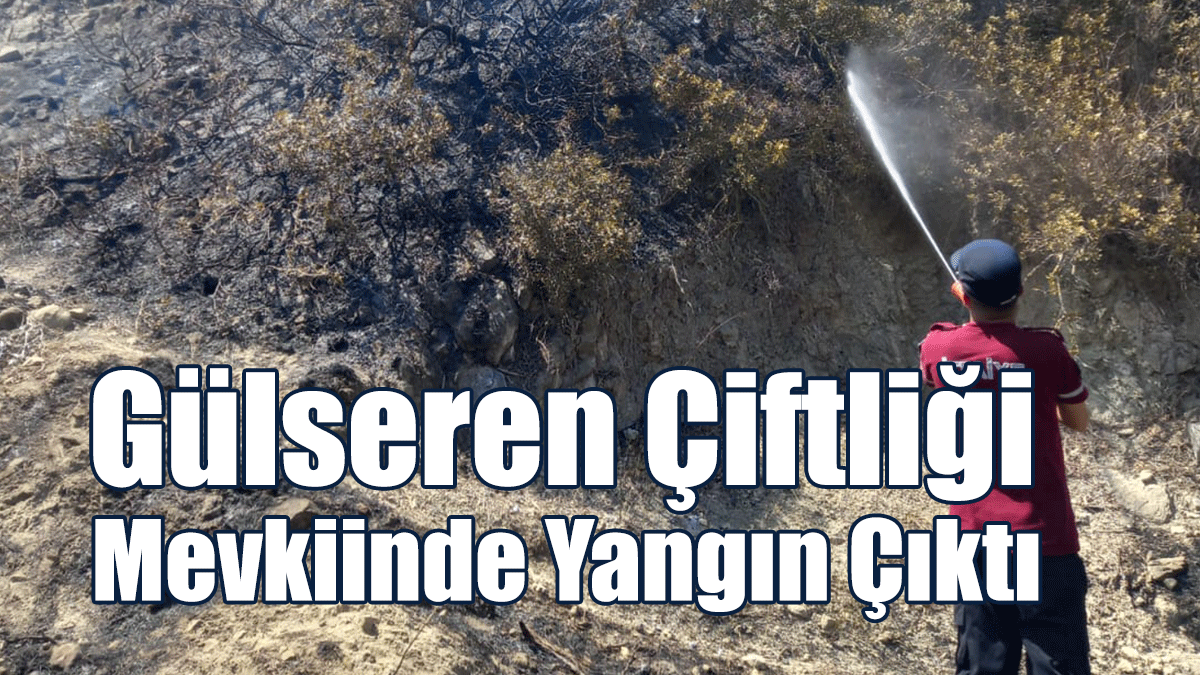 8 Zeytin ve 11 Ardıç Ağacı Yandı