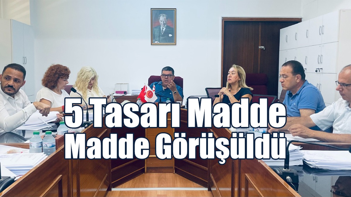 5 Tasarı Madde Madde Görüşüldü