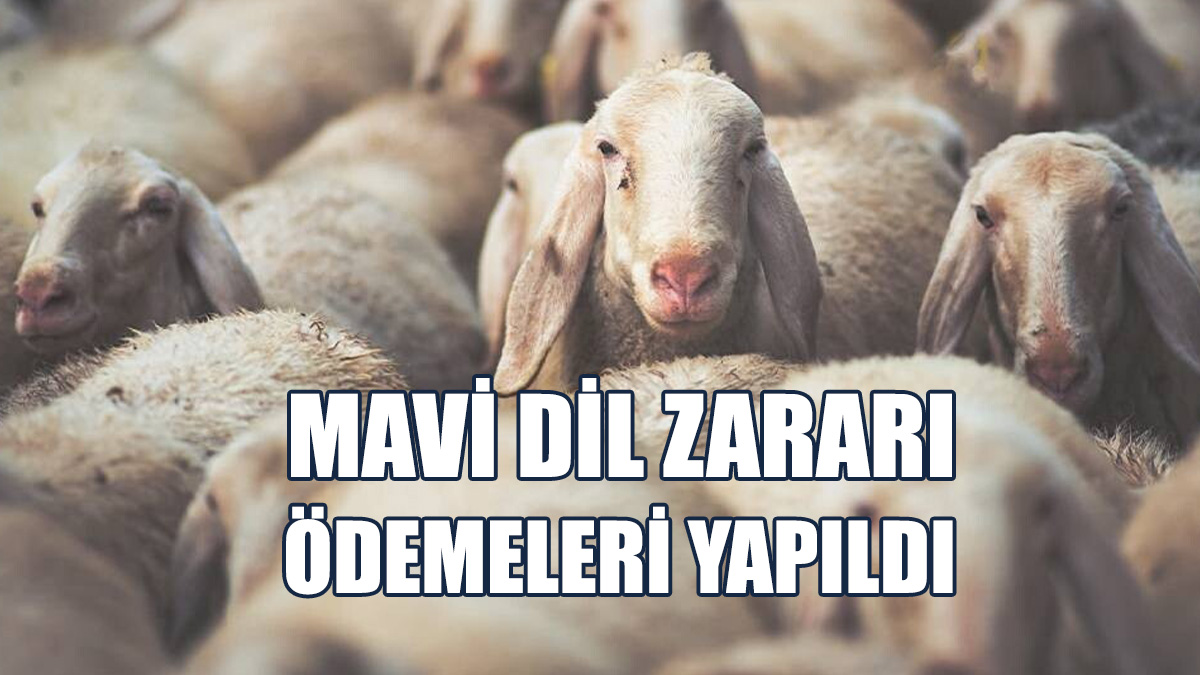 371 Üreticiye, 13 Milyon 530 Bin 792 TL Tazminat Ödendi