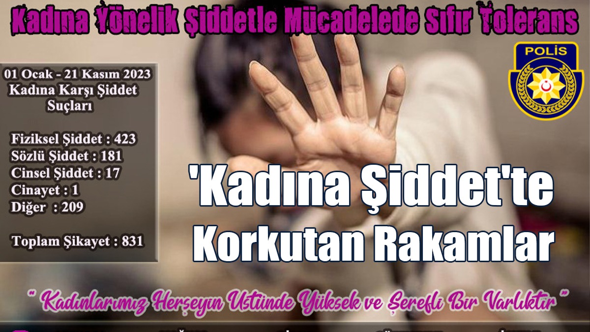 11 Ayda 1’i Cinayet, 423’ü Fiziksel, 181’i Sözlü, 17’si Cinsel Şiddet