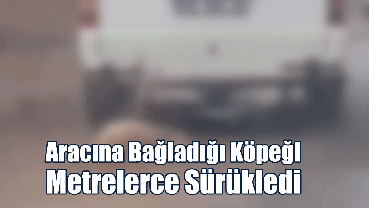 Vahşet! Aracına Bağladığı Köpeği Metrelerce Sürükledi