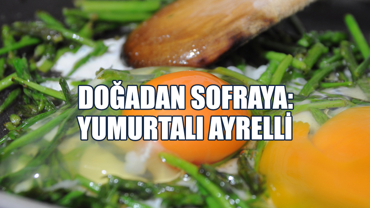 Ayrellinin Tam Zamanı!