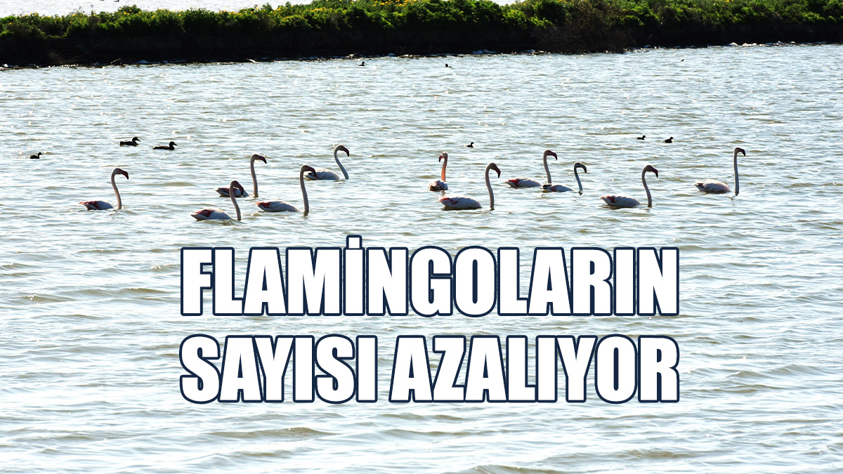 Sulak Alanların Korunması Konusunda Acil Tedbir Çağrısı…