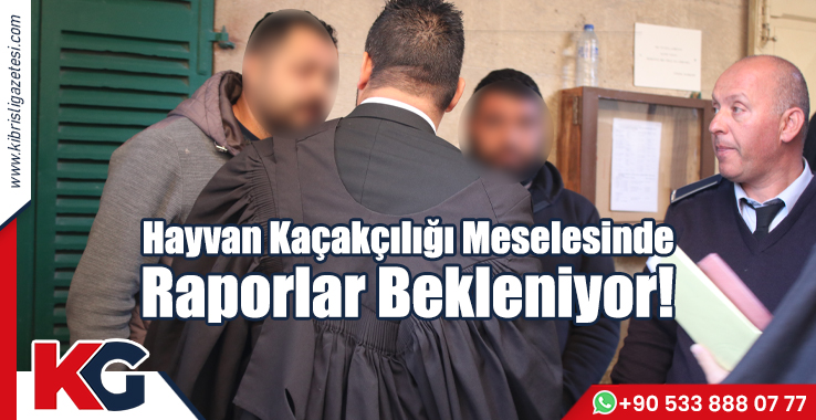 Hayvan Kaçakçılığı Meselesinde Raporlar Bekleniyor!