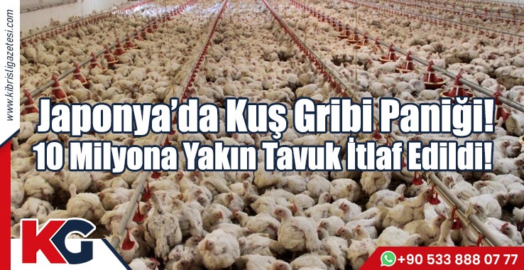 Japonya’da Kuş Gribi Paniği! 10 Milyona Yakın Tavuk İtlaf Edildi!