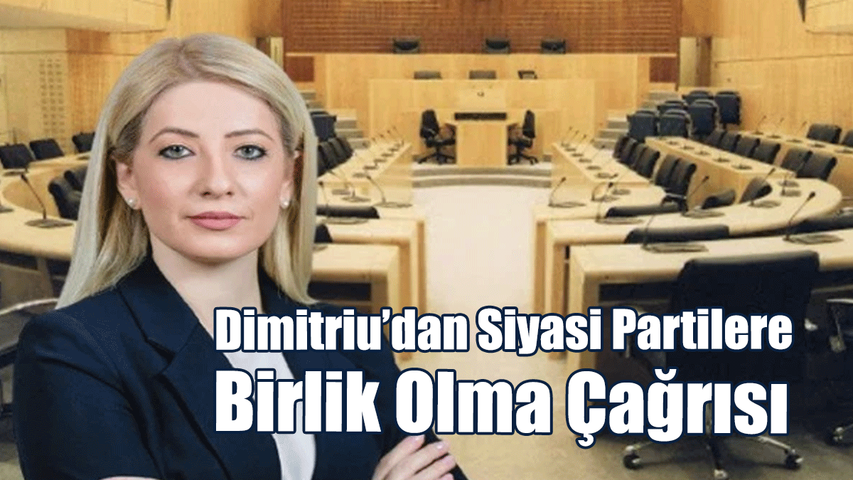 Dimitriu, Siyasi Partilere Birlik Olma Çağrısı Yaptı