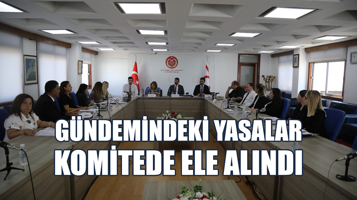 Meclis, İdari, Kamu ve Sağlık İşleri Komitesi Toplandı