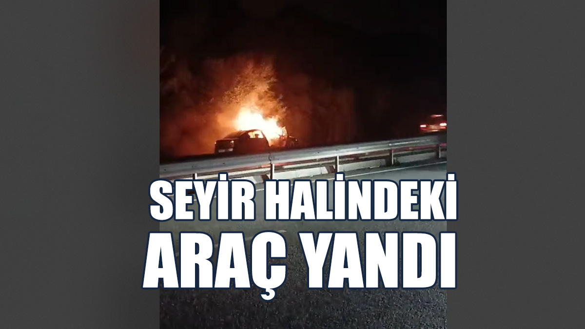 Alev Alan Araç Tamamen Yandı