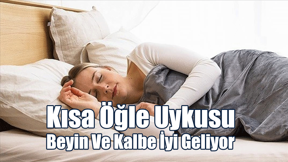 Kısa Öğle Uykusu Beyin Ve Kalbe İyi Geliyor
