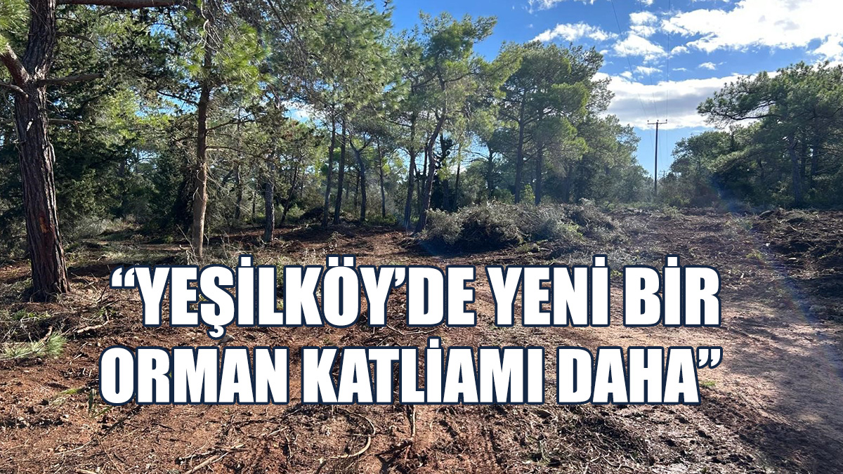 “Mezarlık Yapmak Amacıyla Bu Orman Katliamını Yapmaktadır”