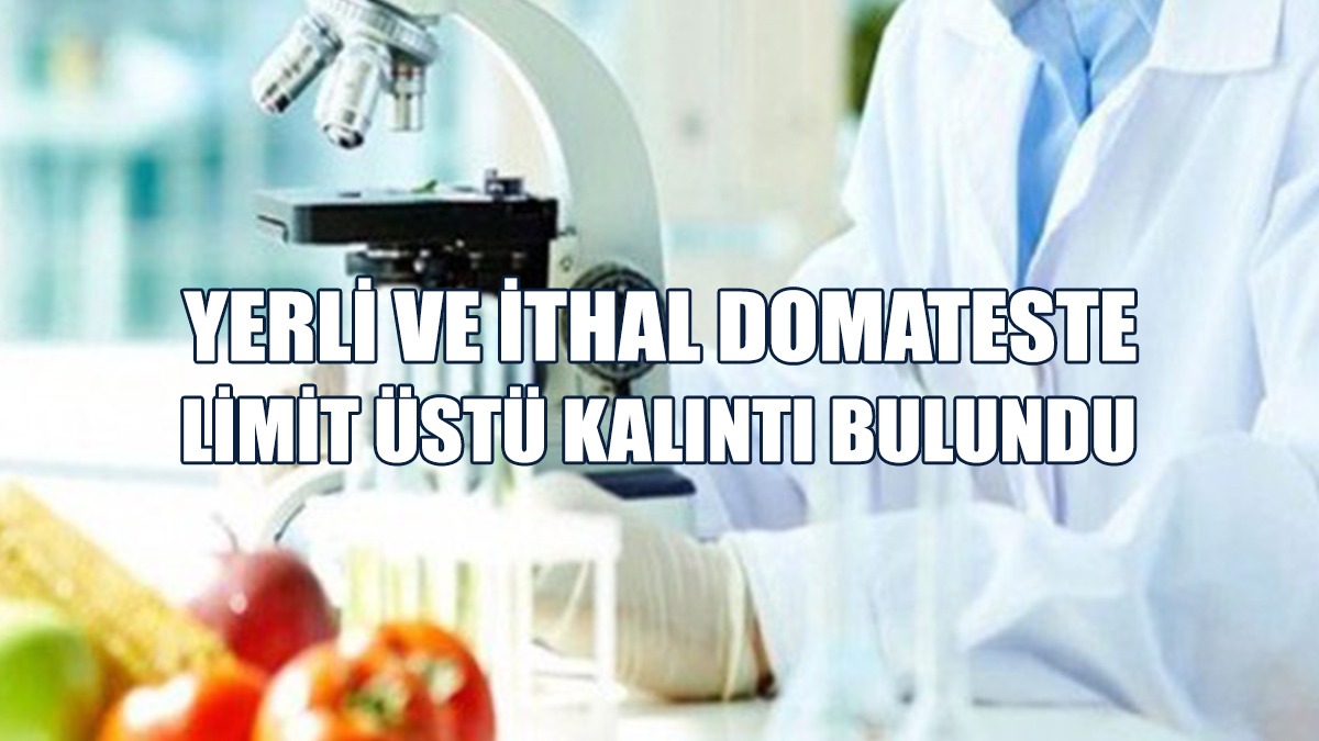 Gıda Analiz Sonuçları Açıklandı