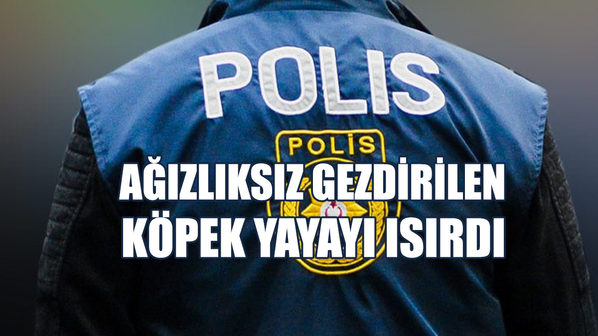 Ağızlıksız Gezdirilen Köpek Yayayı Isırdı