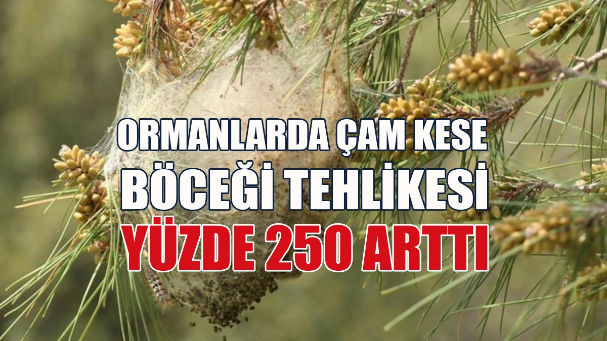 KEMA, Uyardı: Havadan Biyolojik Uygulama Yapılmalı