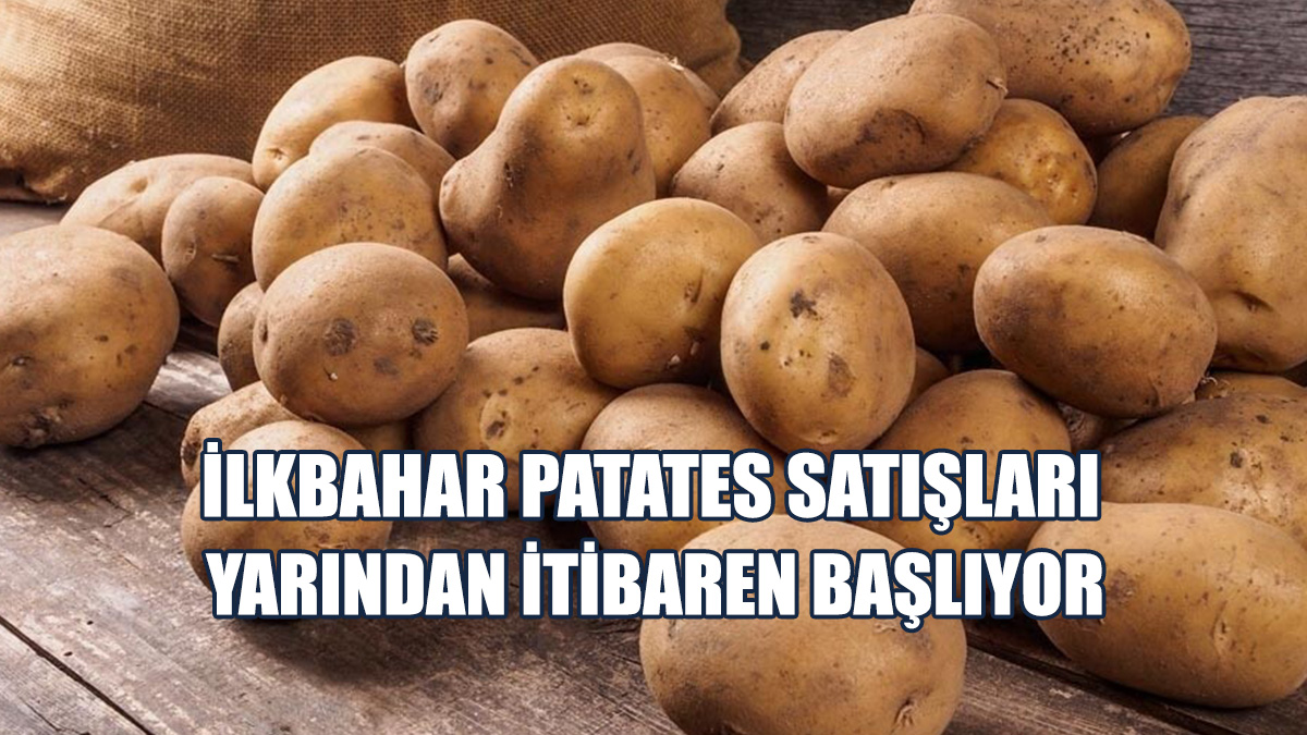 10 Kiloluk Torbalarda Patates, 45 TL’den Satışa Sunulacak