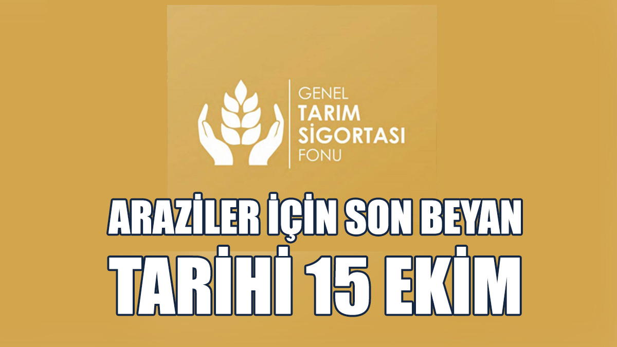 Patates Ekimi Yapılan Araziler İçin Son Beyan Tarihi 15 Ekim…
