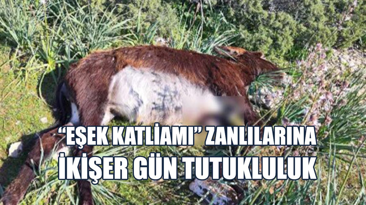 Olayla İlgili Tutuklanması Muhtemel Kişiler Ve Aranan Emareler Var