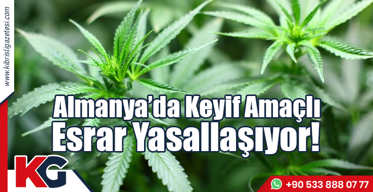 Almanya’da Keyif Amaçlı Esrar Yasallaşıyor!
