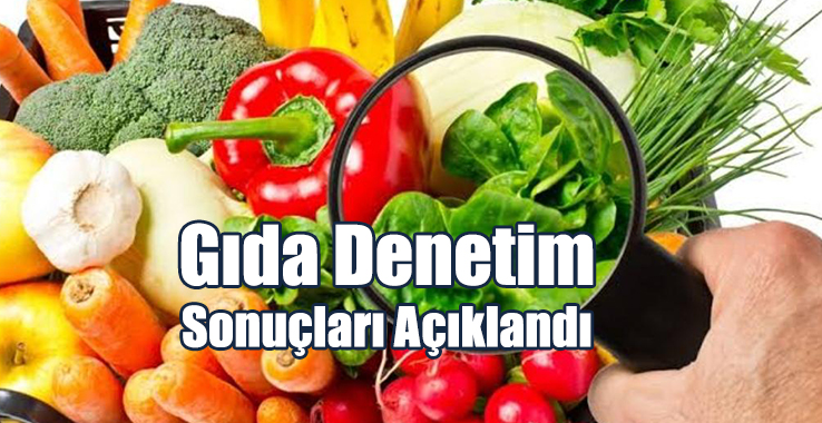 Gıda Denetim Sonuçları Açıklandı