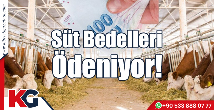 Süt Bedelleri Ödeniyor!