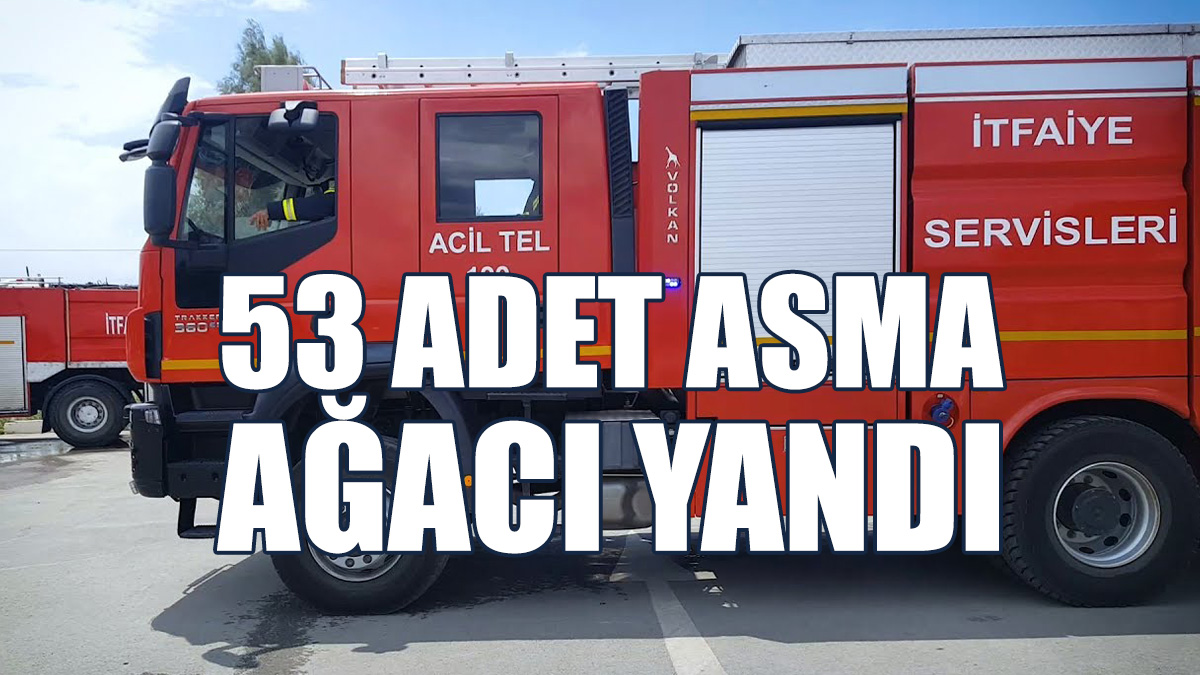 Serhatköy'de Yangın...