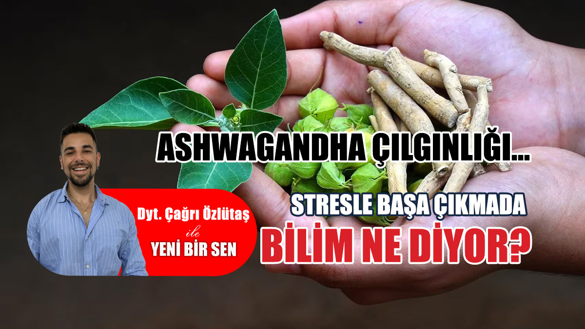 Ashwagandha çılgınlığı… Stresle başa çıkmada bilim ne diyor?