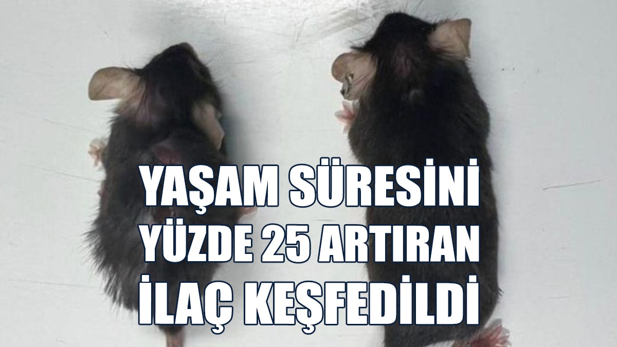Yaşam Süresini Yüzde 25 Artıran İlaç Keşfedildi