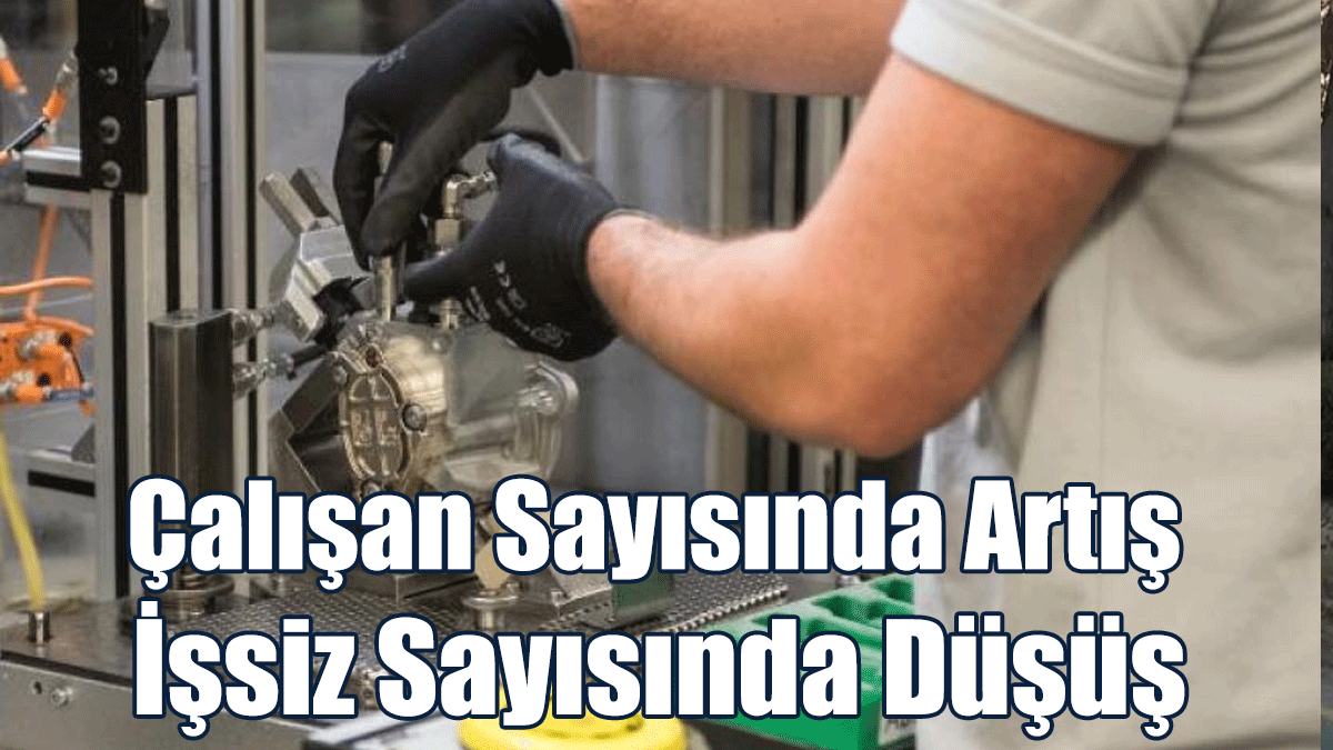 Güney’de Çalışan Sayısında Artış İşsiz Sayısında Düşüş Kaydedildi