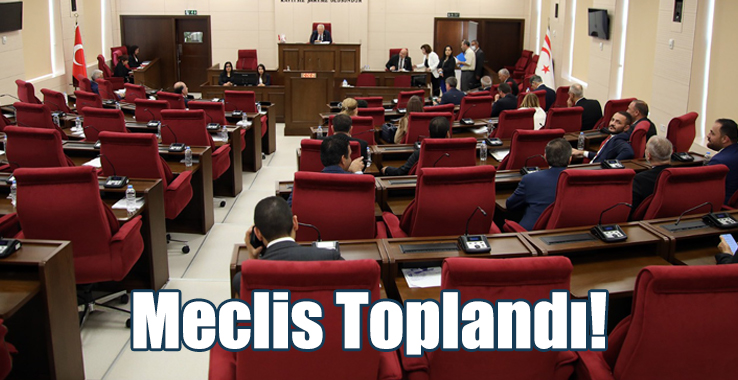 Meclis Denetim Göreviyle Toplandı