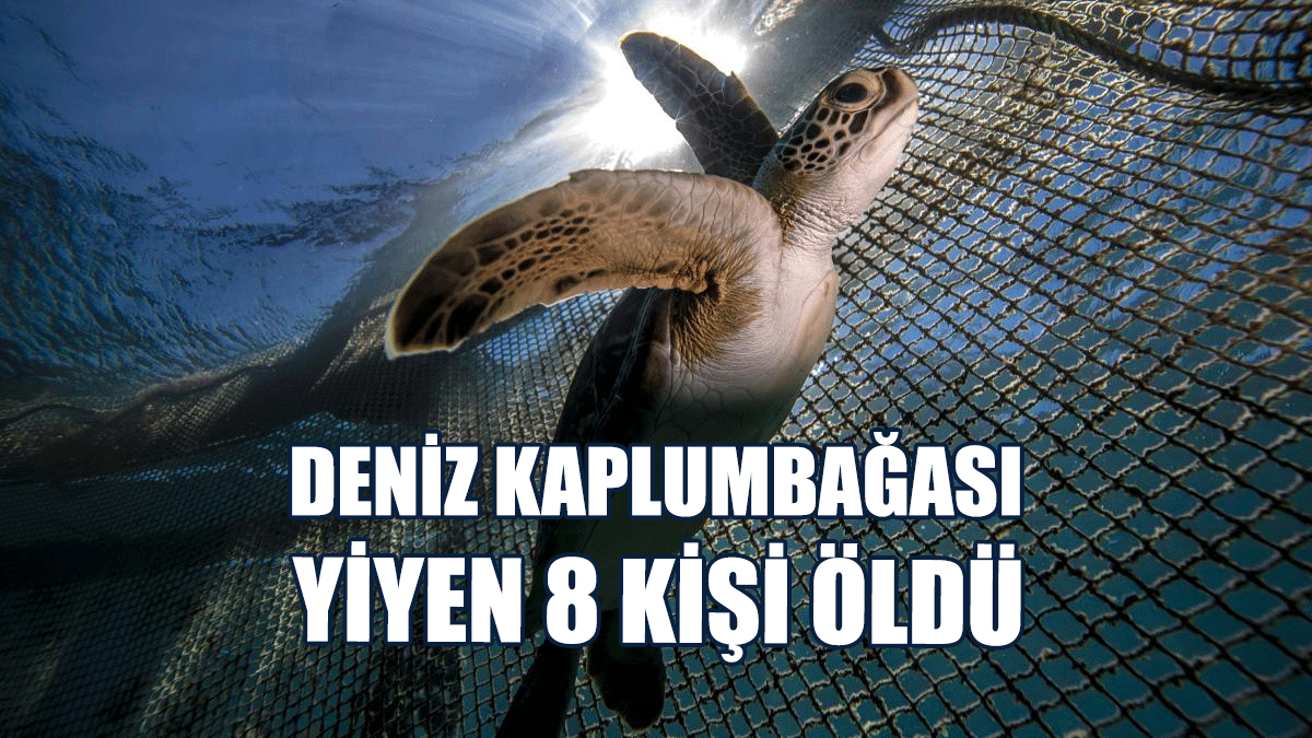 Onlarca Kişi Hastanelik Oldu