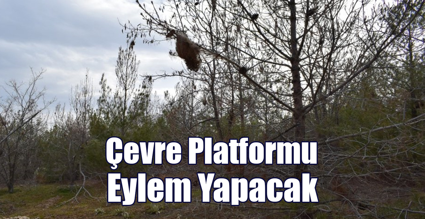 Çevre Platformu Eylem Yapacak