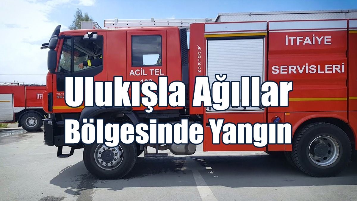 Ulukışla Ağıllar Bölgesinde Yangın