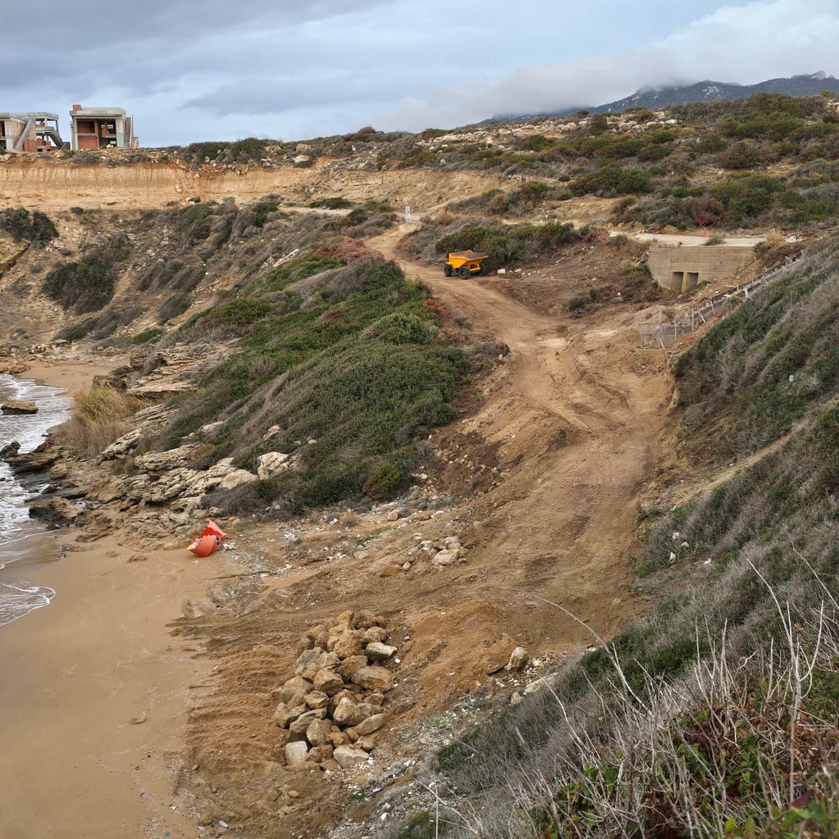 İskele sahillerinde çevre felaketi: Deniz kaplumbağaları ölüyor